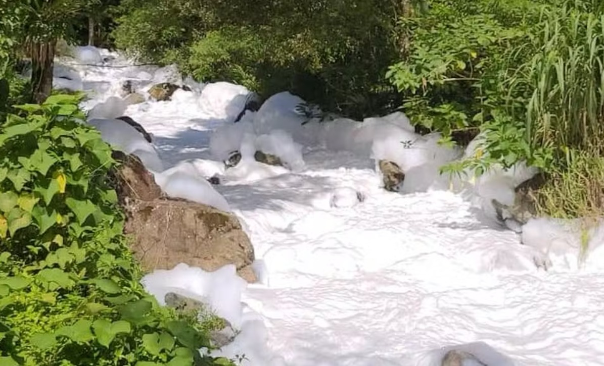 Joinville (SC): A cidade onde o capitalismo selvagem sacrifica o povo e a natureza