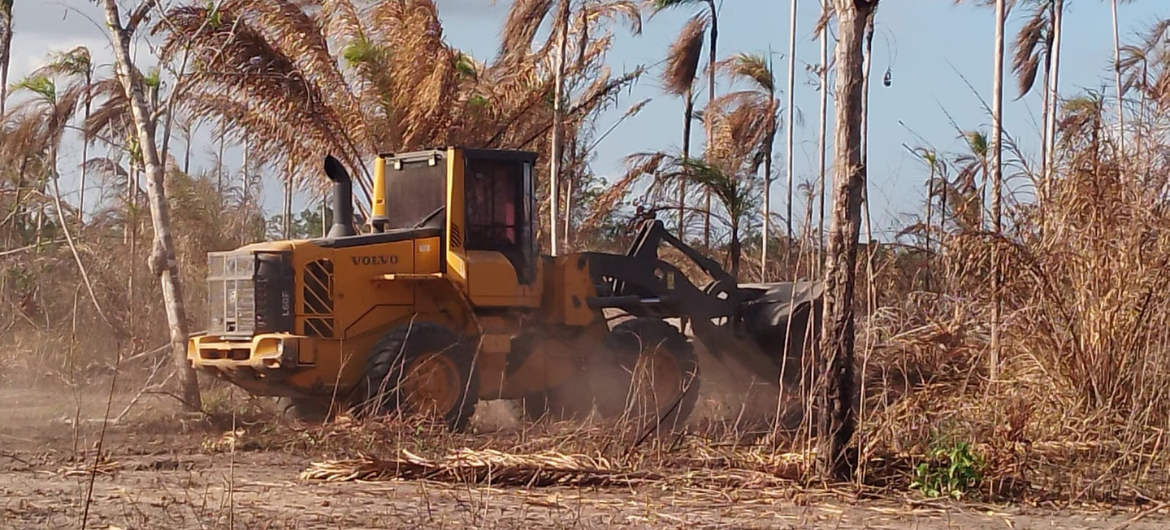 Após aprovação de Lei de Terras, quilombolas do Maranhão sofrem com o avanço de grileiro