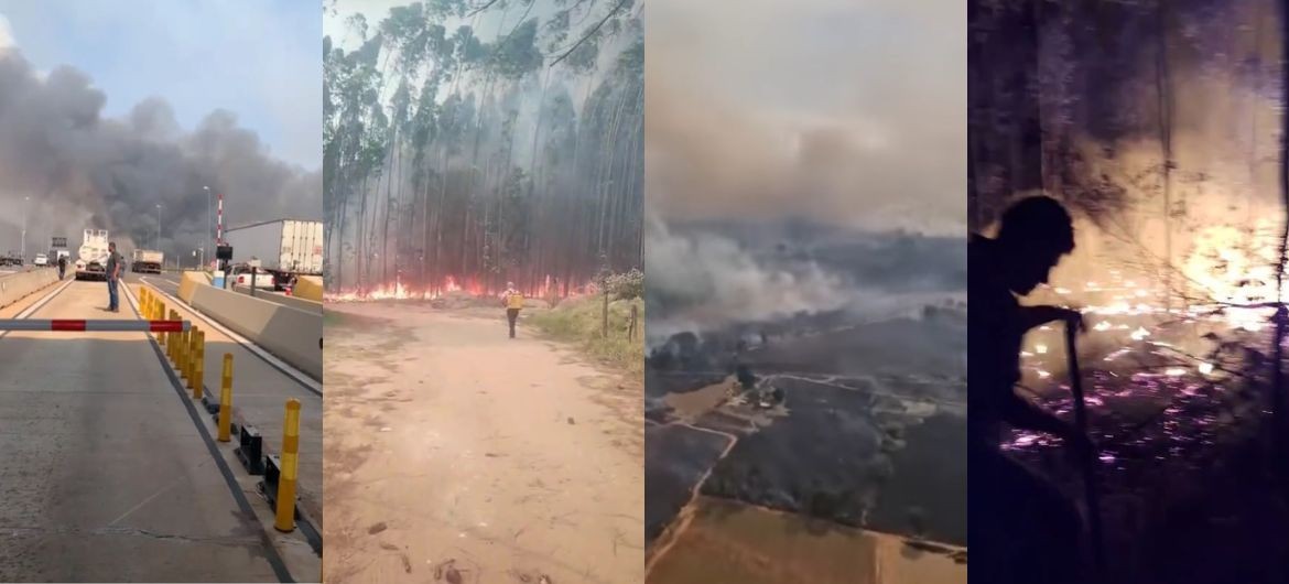 Com duas mortes e dezenas de feridos, São Paulo tem dias de caos com queimadas no campo