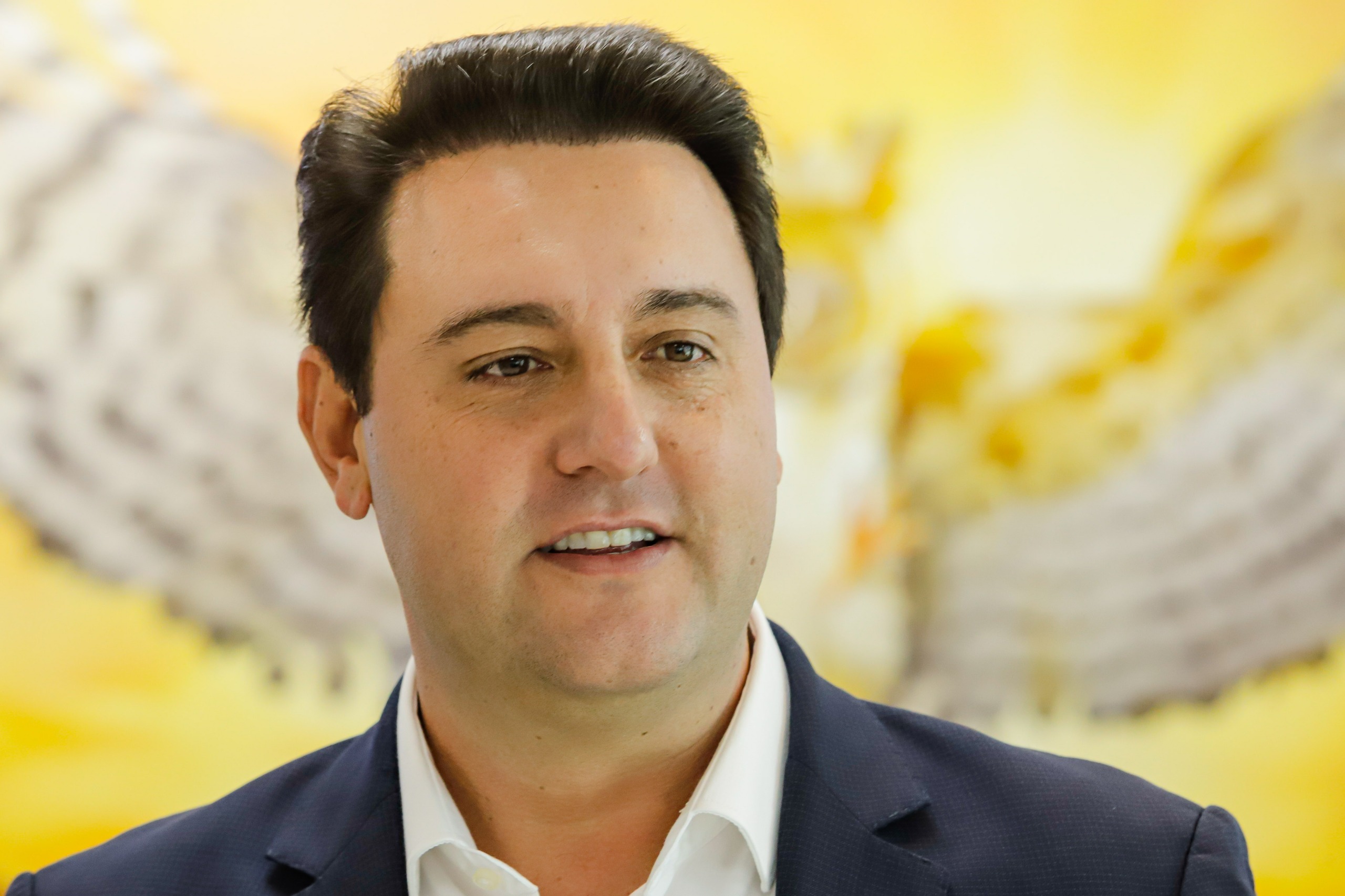 PR: Ratinho Júnior é massacrado em consulta sobre "Parceiros da Escola", mas luta deve continuar