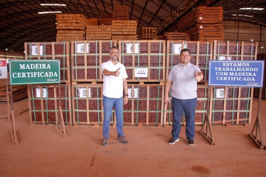 Capitalismo Verde: Manejo de madeira no Amapá é uma ameaça à floresta