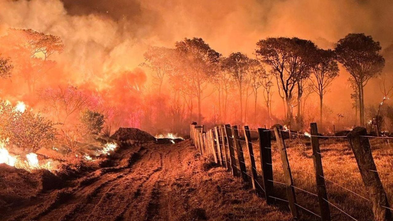 Dia Mundial do Meio Ambiente traz alerta: a ganância capitalista está devastando o planeta