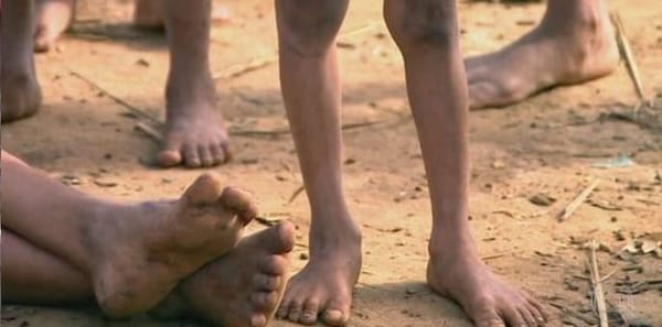 Crianças Yanomami pedem socorro!