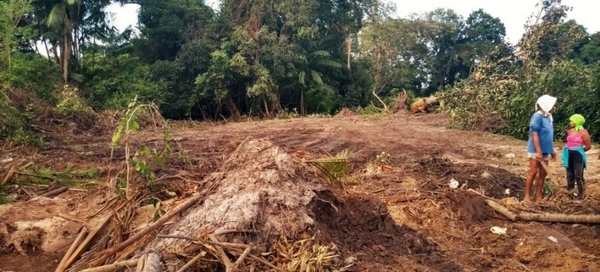 Urgente: Jagunços invadem território indígena Tremembé, no Maranhão