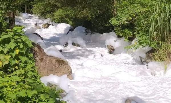 Joinville (SC): A cidade onde o capitalismo selvagem sacrifica o povo e a natureza