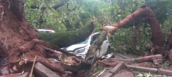 As lições do apagão gaúcho