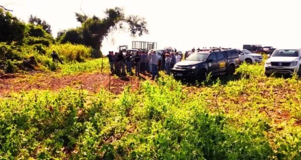 Sem demarcação de Terras Indígenas, violência contra os Avá-Guaranis aumenta no Paraná