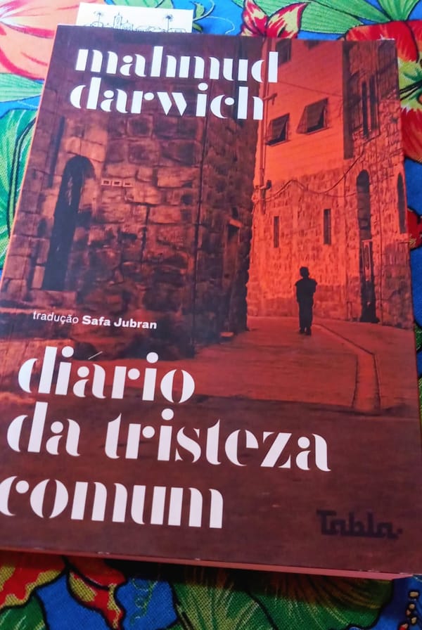 Diário da tristeza comum