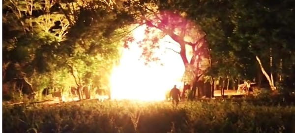 Pistoleiros atacam indígenas Avá Guarani na virada do ano e deixam um baleado