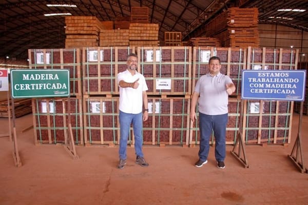 Capitalismo Verde: Manejo de madeira no Amapá é uma ameaça à floresta
