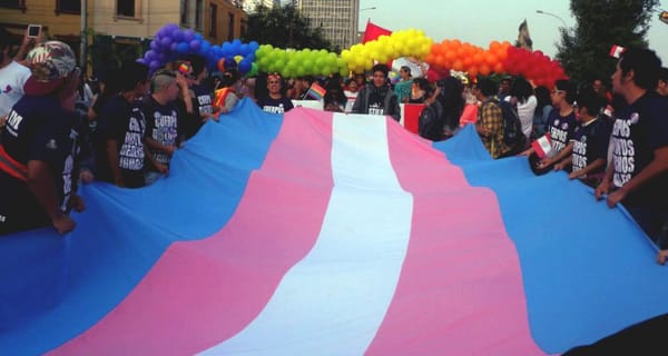 29J – Dia Nacional da Visibilidade Trans: A visibilidade que temos e a que queremos