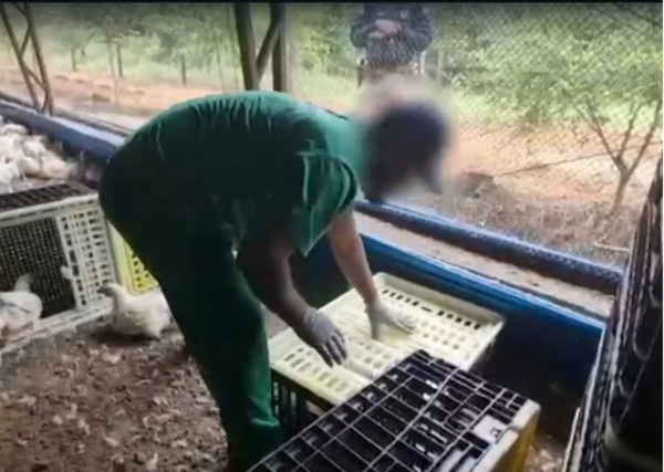 Ministro do Trabalho do governo Lula interfere em investigação sobre trabalho escravo na JBS